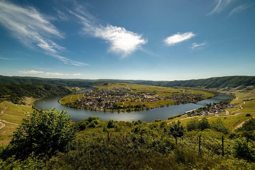 Mosel-Flusskreuzfahrt-Ichwillschiff